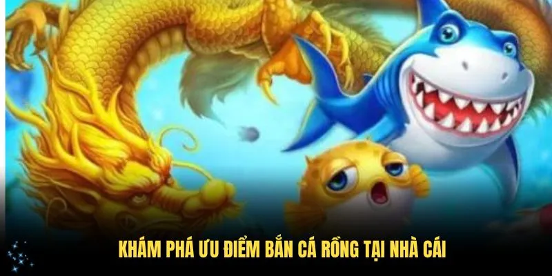 Khám phá ưu điểm bắn cá Rồng tại nhà cái